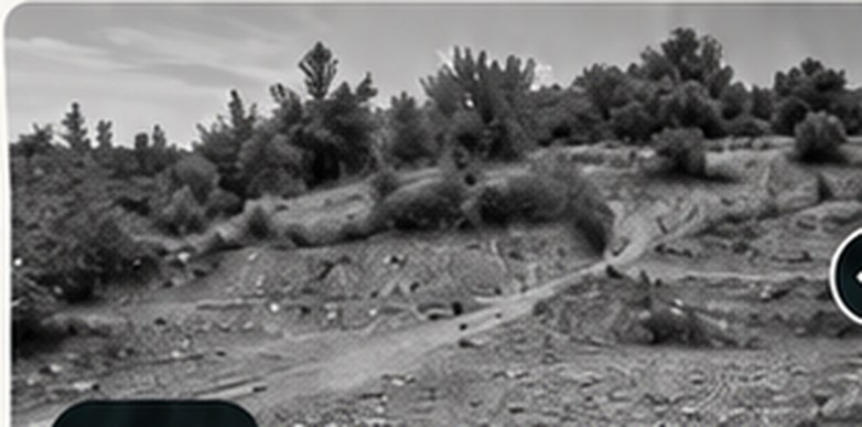 Terrain avant aménagement